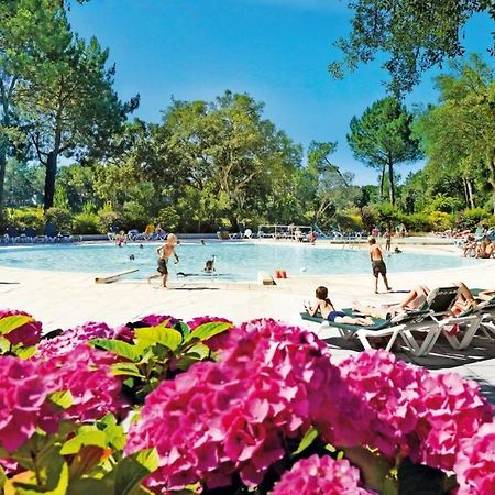 L'Appart Vue Golf Piscines Nature Ocean A Moliets Apartman Kültér fotó